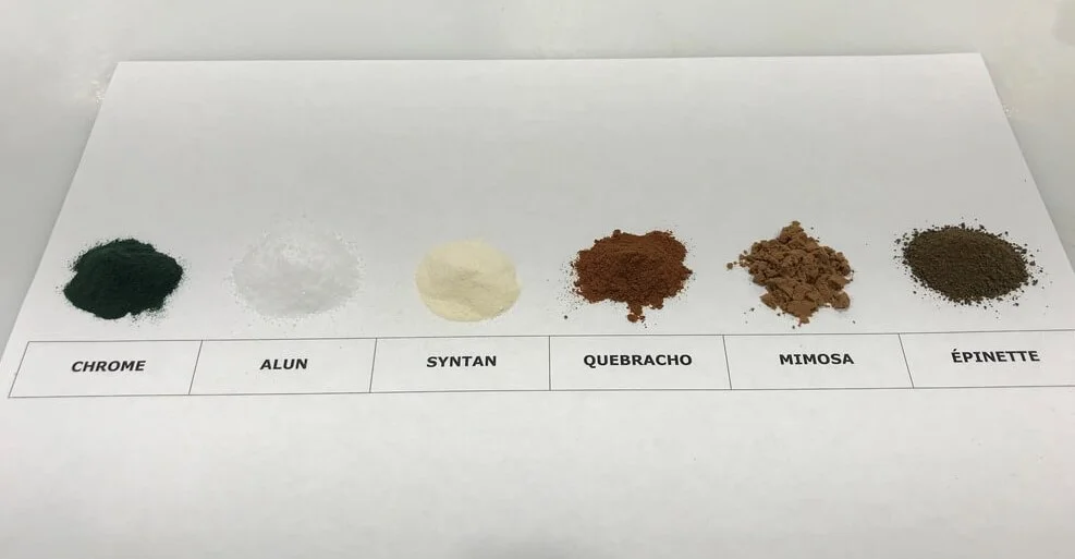 Projet tannins minéraux et végétaux Échantillons de tannins de chrome, alun, syntan, quebracho, mimosa et épinette