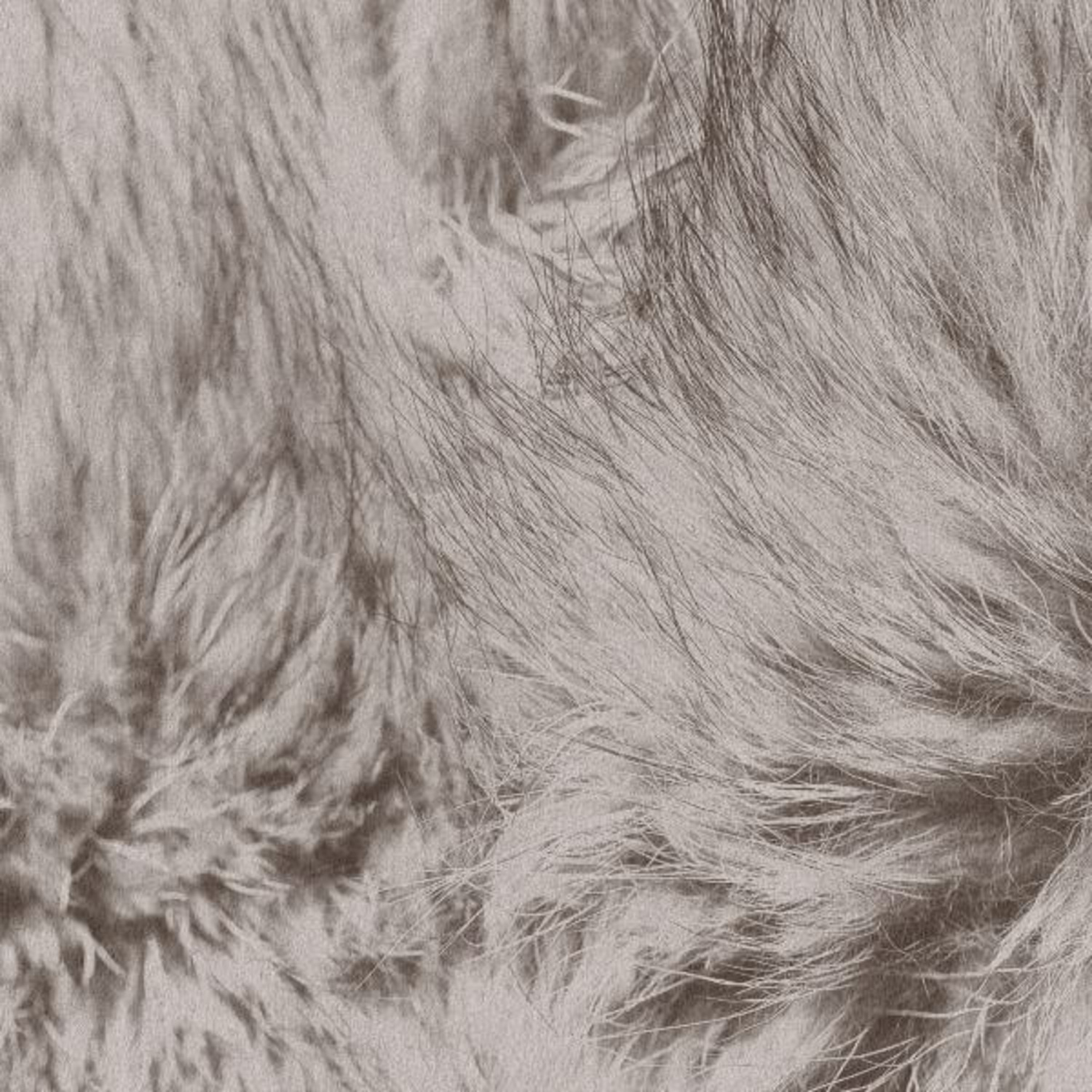 Images 1500 03